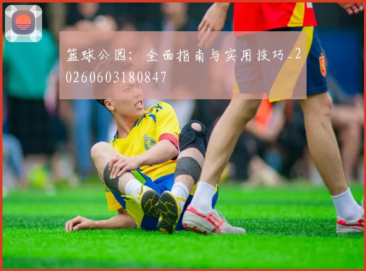 篮球公园：全面指南与实用技巧_20260603180847