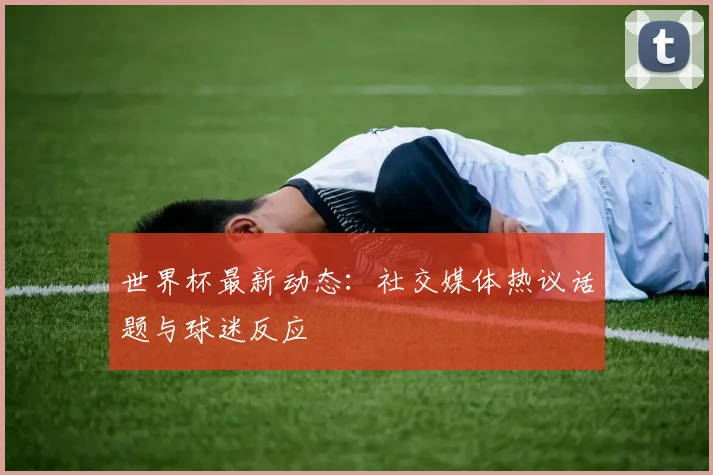 世界杯最新动态：社交媒体热议话题与球迷反应