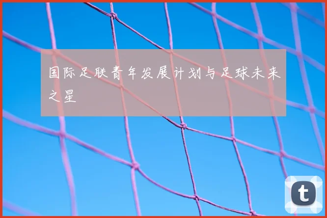 国际足联青年发展计划与足球未来之星