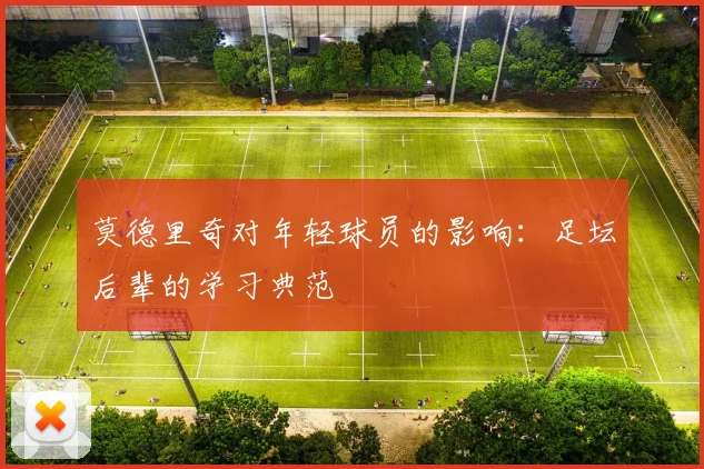莫德里奇对年轻球员的影响：足坛后辈的学习典范