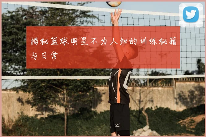揭秘篮球明星不为人知的训练秘籍与日常